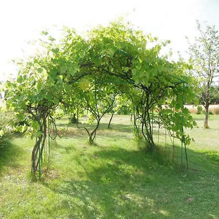 Bed and Breakfast Goscinne Stare Miasto (Konin)