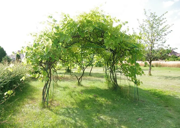 Bed & Breakfast Goscinne Stare Miasto (Konin)